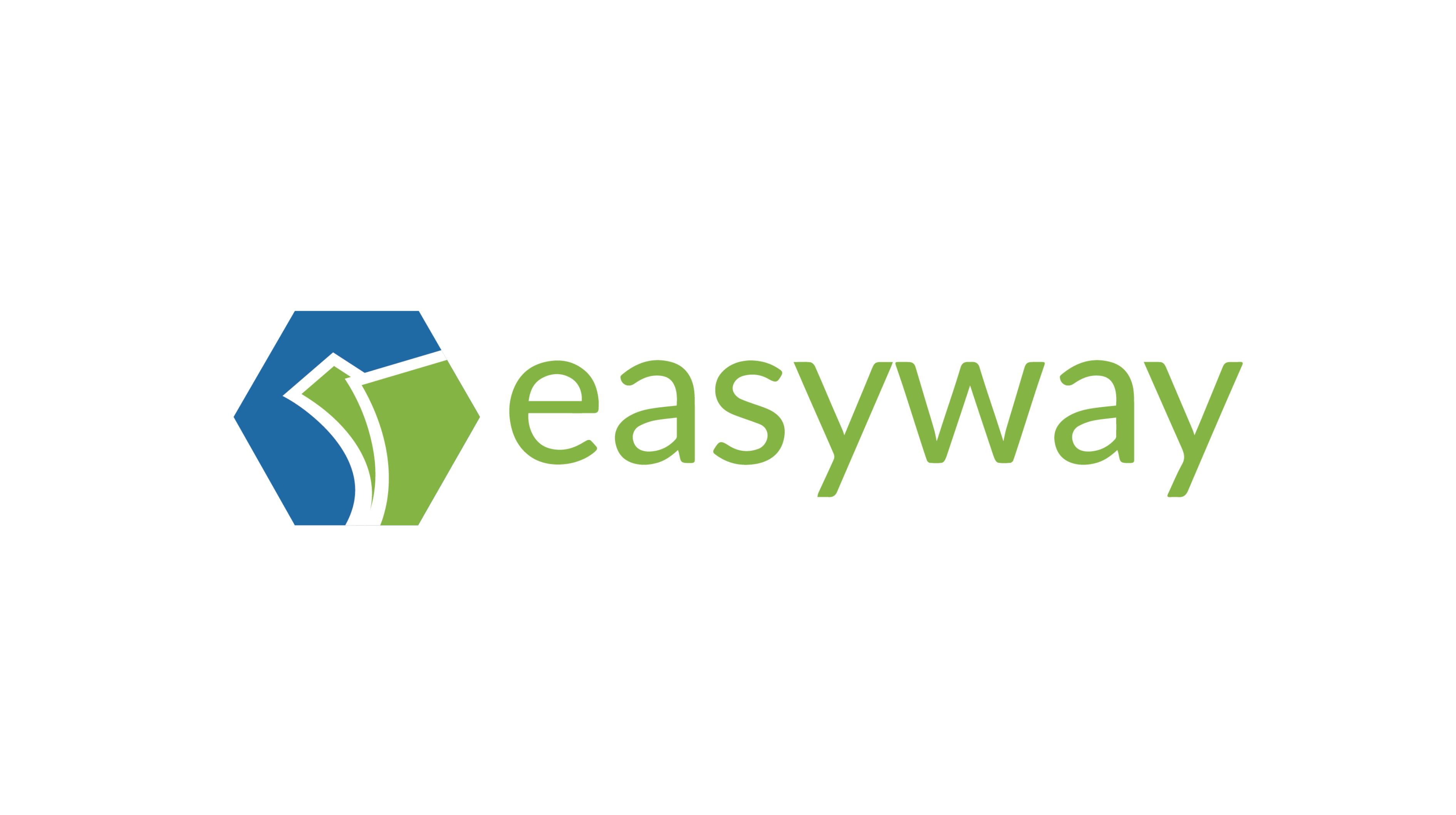easyway ebike logo oem-1