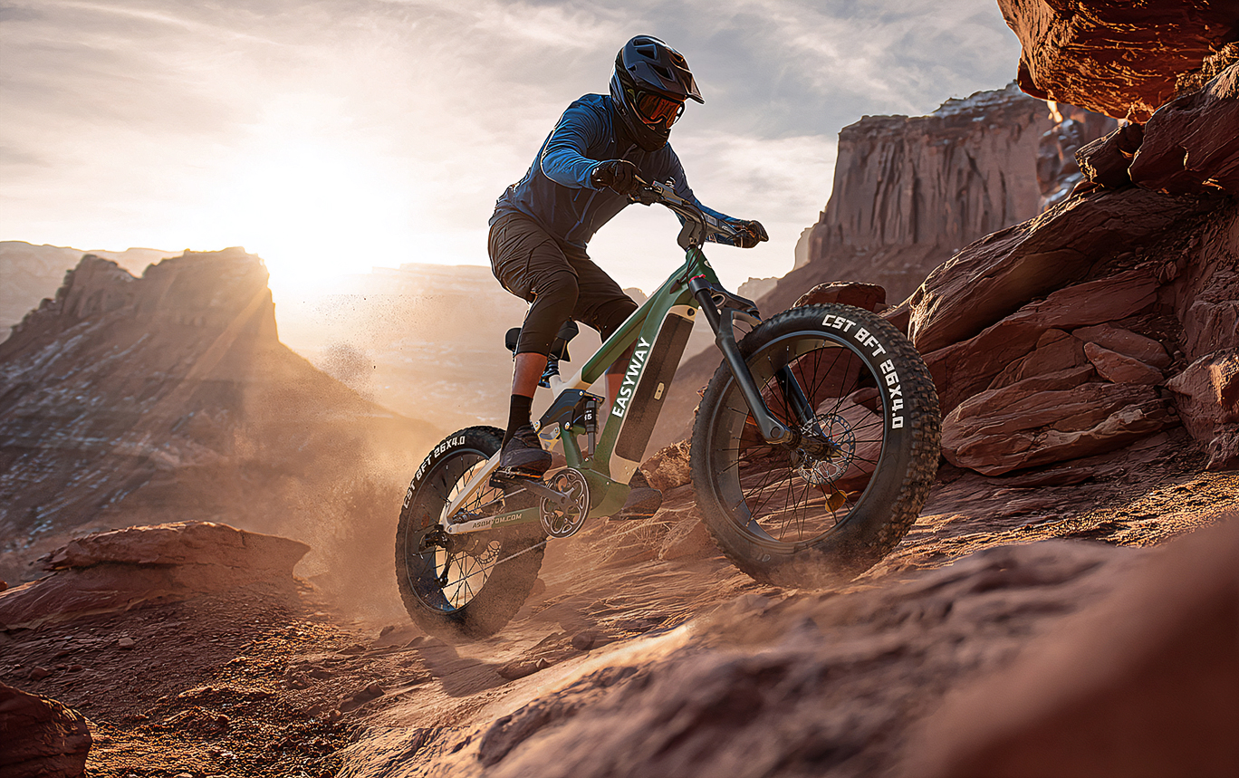 oem-ebike-adventure-rider-banner